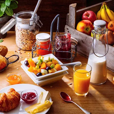 Hotel Ibis Centre Gare Et Congres Nancy