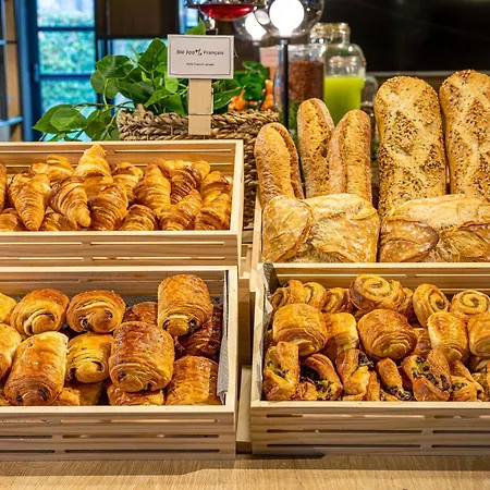 Hotel Ibis Centre Gare Et Congres Nancy