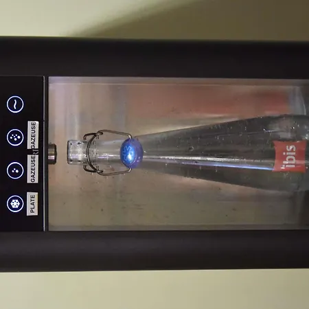 Hotel Ibis Centre Gare Et Congres 3*