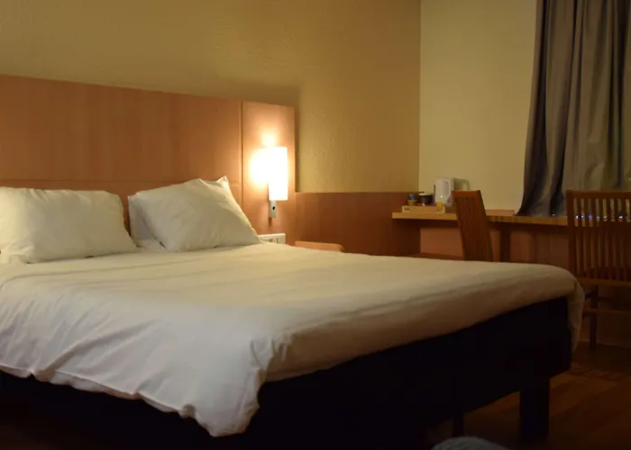 Ξενοδοχείο Ibis Centre Gare Et Congres Νανσύ