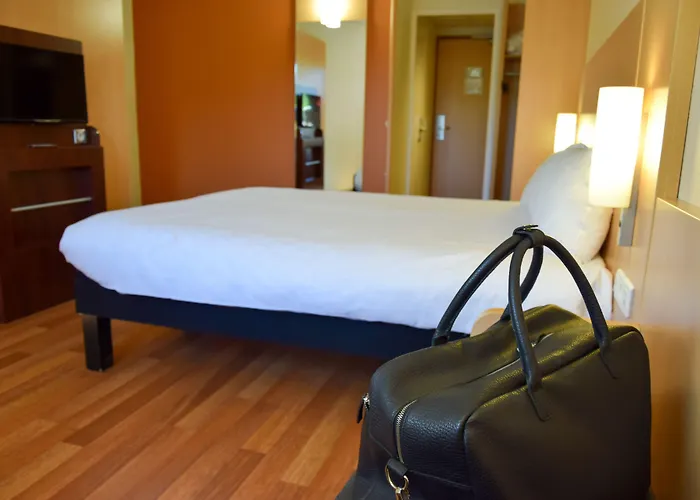 Ibis Centre Gare Et Congres 3* Νανσύ