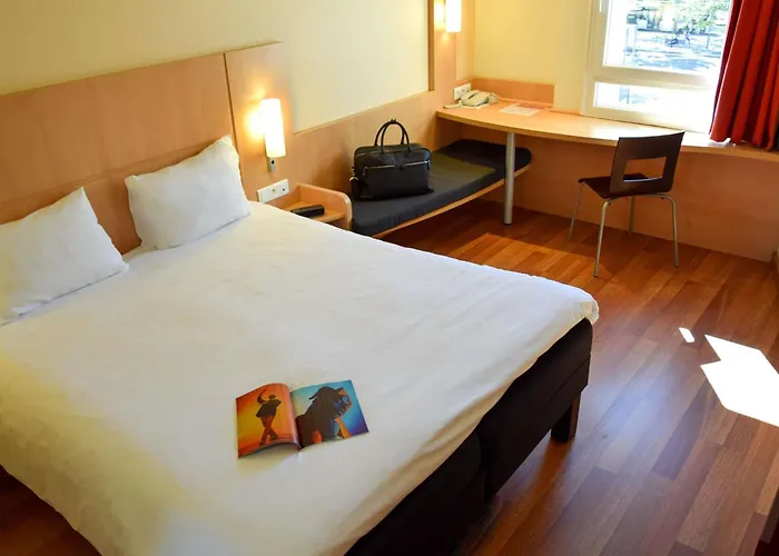 Ibis Centre Gare Et Congres فندق 3*