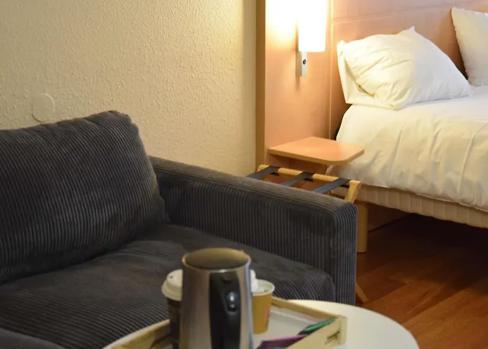 Ibis Centre Gare Et Congres 3* Νανσύ