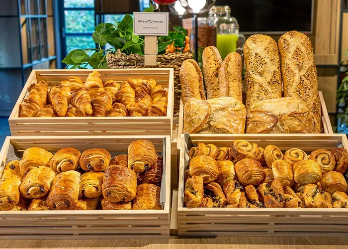 Ξενοδοχείο Ibis Centre Gare Et Congres Νανσύ