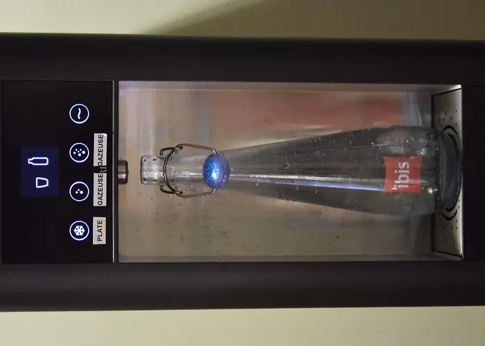 Ibis Centre Gare Et Congres Νανσύ